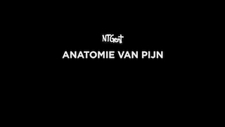 Anatomie Van Pijn Ibrahim Maalouf Kazoo